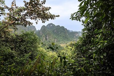 Baie d'Halong terrestre - Vietnam