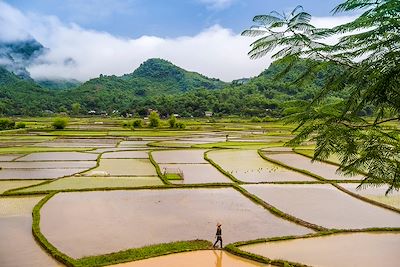 Immersion et rencontre, le Nord du Vietnam à vélo