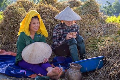 Voyage Hanoi et la Baie d'Halong