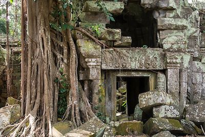 Temple Ta Prohm - Angkor - Cambodge