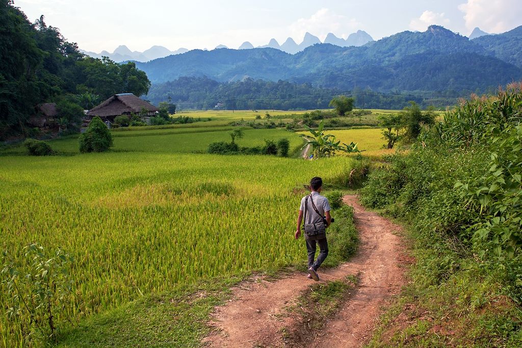 Vietnam : Montagne