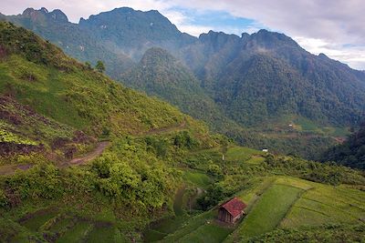 Seo Lung - Vietnam