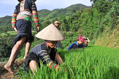Ethnie Lolo Noir - Khuoi Khon - Vietnam