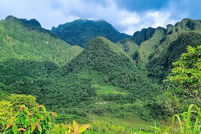 Massif du Phu Ta Ca - Vietnam