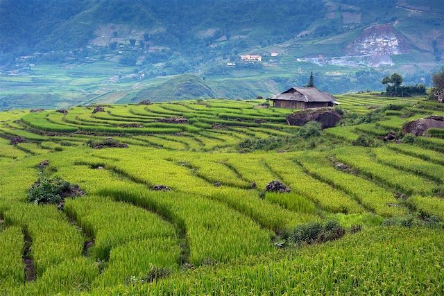 Voyage Ethnies, rizières et baie d'Halong