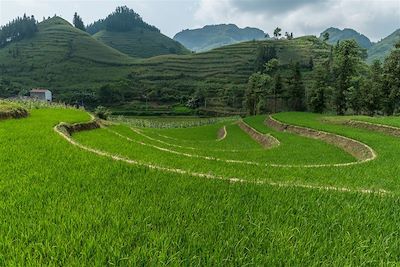 Région de Bac Ha - Vietnam