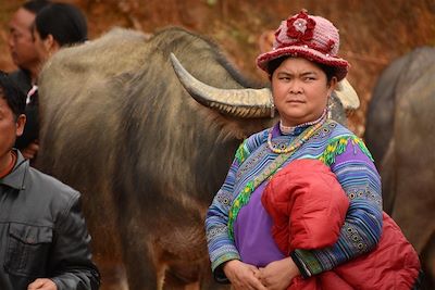 Ethnie Hmong Fleurs - Marché au village de Coc Ly - Vietnam