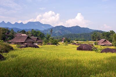 Voyage Grande randonnée de Bac Ha au Mékong 2