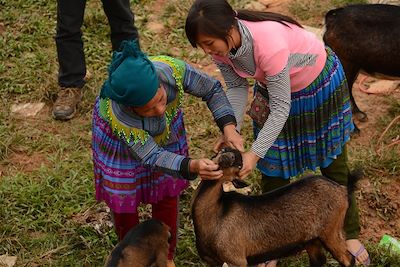 Ethnie Hmong Fleurs - Marché au village de Coc Ly - Vietnam