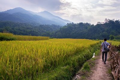 Ha Thanh - Ha Giang - Vietnam