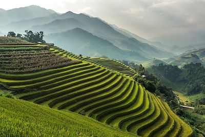 Champs de riz en terrasses du Mu Cang Chai, YenBai - Vietnam