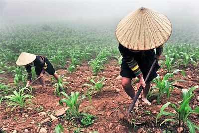 © Nicolas Vidal - Ethnie des Lolo noirs - Province de Cao Bang - Vietnam Ethnie des Lolo noirs - Province de Cao Bang - Vietnam
