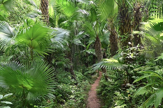 Voyage Randonnée aux confins du Tonkin