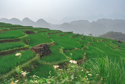 Rencontres Hanoi et la Baie d'Halong