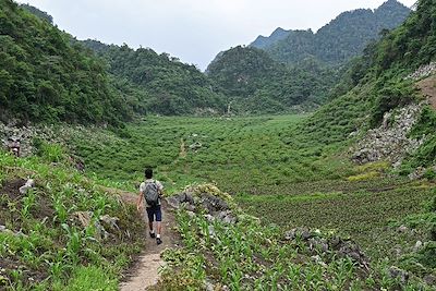 Randonnée au cœur des plantations - Moc Chau - Vietnam 
