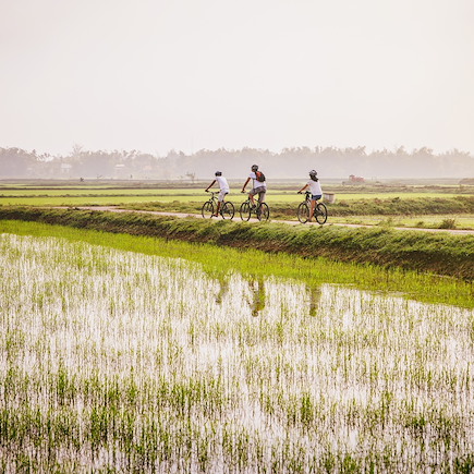 Des merveilles d'Halong au delta du Mekong à vélo