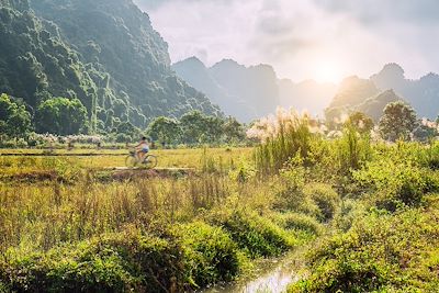 Femme à vélo dans les rizières - Vietnam