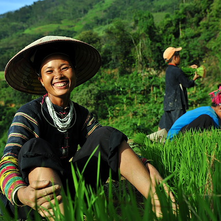 Randonnée Vietnam