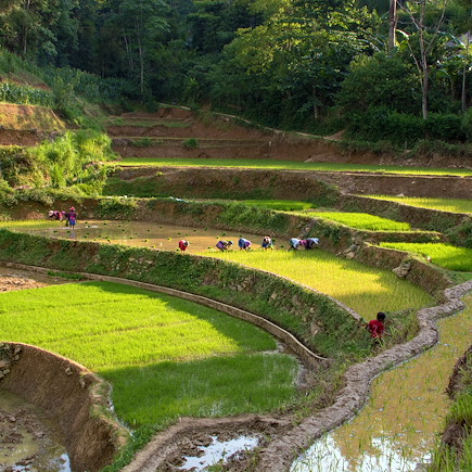 Découverte Vietnam