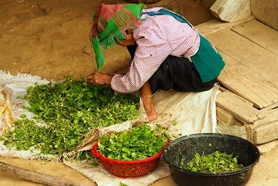 Habitant Village Massif de Thong Nong - Vietnam