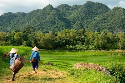 Voyage Vietnam