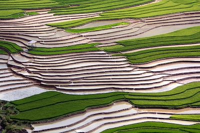 Grande traversée du Vietnam en famille