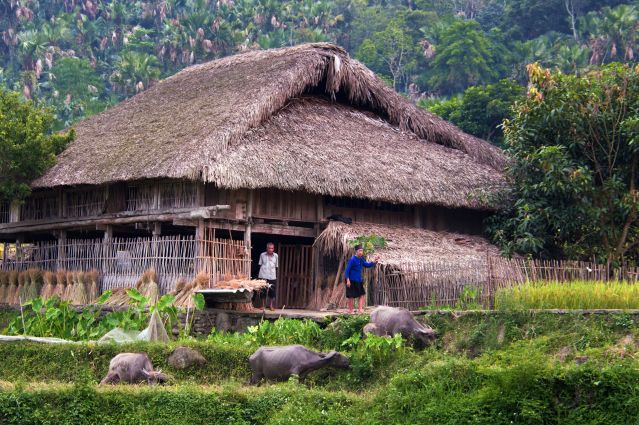 Voyage Ethnies, rizières et baie d'Halong 2