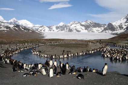 Antarctique : mer de Weddell et île Éléphant