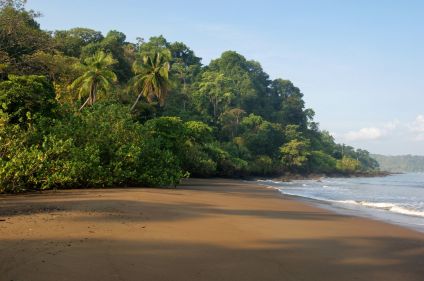 Balade costaricaine, entre faune et flore