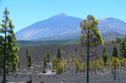 Volcans de Tenerife et de La Palma