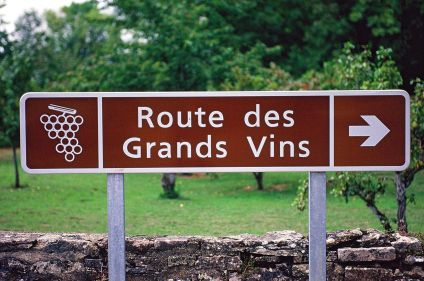 Bourgogne authentique, la route des vins à vélo