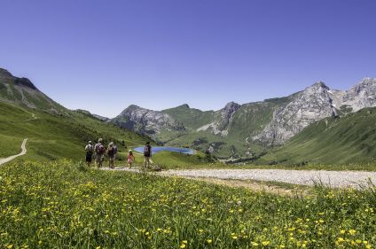 Balade avec un âne entre Léman et Mont-Blanc