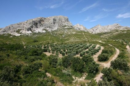 La Provence, des Alpilles au Luberon