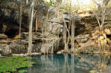 Trésors du Yucatán et forêts de jade