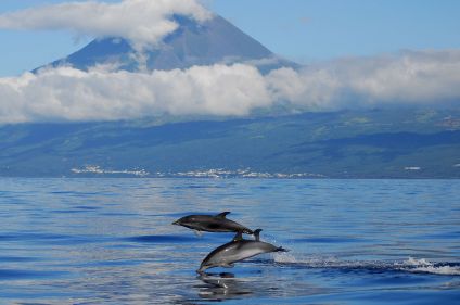 Escapades océanes: Faial, Pico, Sao Jorge