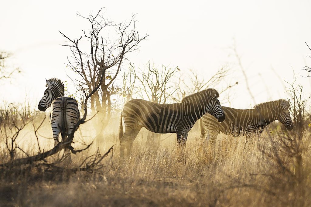 Voyage Afrique du Sud