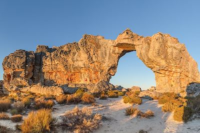 Découverte Cape Town