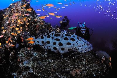 Guinjatha Bay - Inhabane - Mozambique