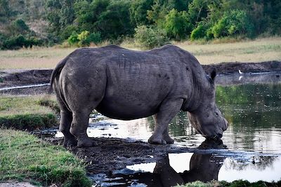 Voyage Traversée du Kruger et plages du Mozambique. 1