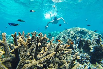 © Alejandro Moreno de Carlos / Stocksy - Snorkeling Snorkeling