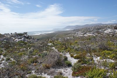 © Julien Monnerie - Boulder's Beach - Simon's Town - Afrique du Sud Boulder's Beach - Simon's Town - Afrique du Sud