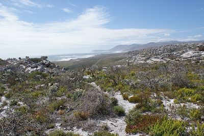 Boulder's Beach - Simon's Town - Afrique du Sud