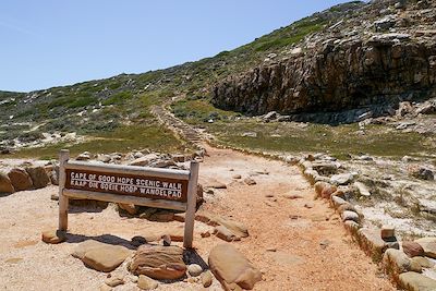 Cap de Bonne Espérance - Péninsule du Cap - Afrique du Sud