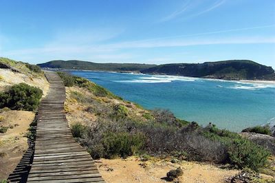 Baie de Plettenberg - Afrique du Sud