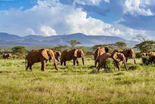 Voyage Grand tour d'Afrique du Sud