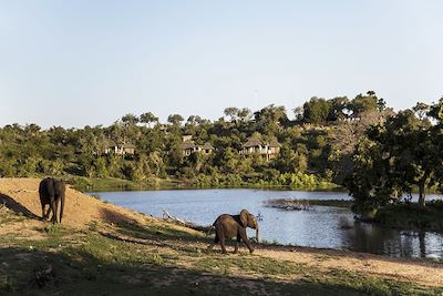 Voyage Safari à pied, vignoble et océan, du Kruger au Cap 1