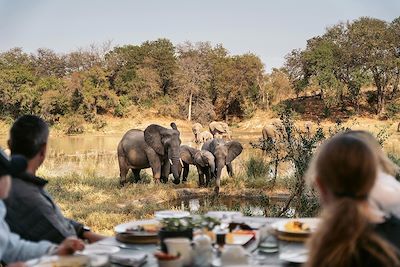 Safari Afrique du Sud