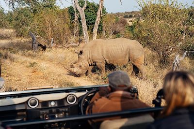 © Simbavati River Lodge - Simbavati River Lodge - Afrique du Sud Simbavati River Lodge - Afrique du Sud