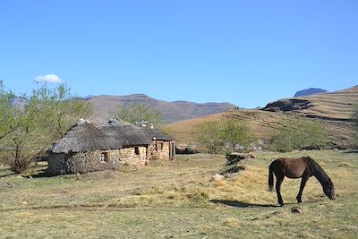 Du Lesotho au Kruger, l’autre Afrique du Sud
