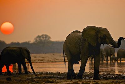 Bomani Tented Lodge - Hwange - Zimbabwe